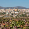vista desde bodega Pago de Tharsys Casa Rural La Vid Requena