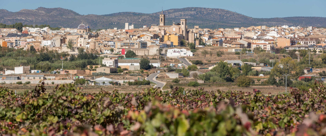 vista desde bodega Pago de Tharsys Casa Rural La Vid Requena